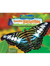 Beautiful Butterflies